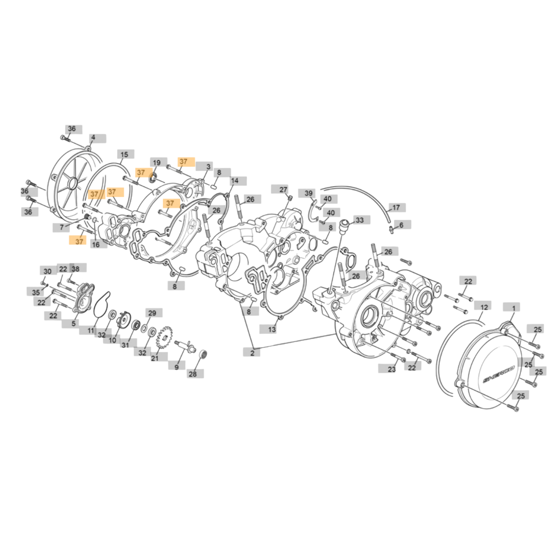 Sherco M6x25 Bolt (2023-2025)