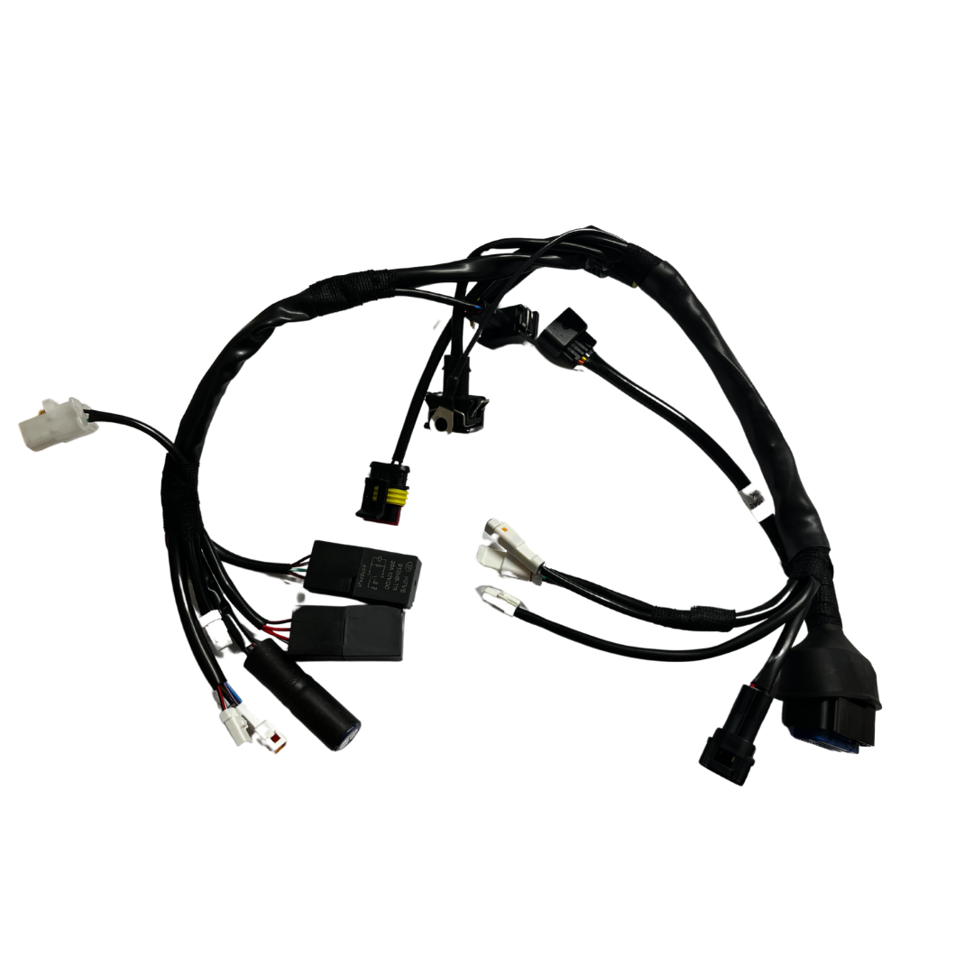 Sherco Main Wiring Harness (2024)