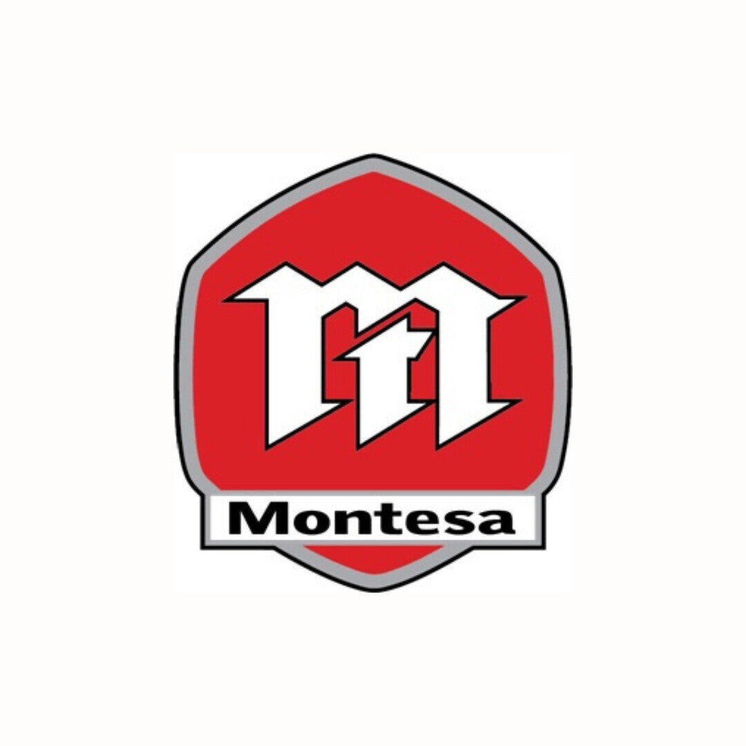 Montesa Kickstart Shaft Seal 16.5 x 25.5